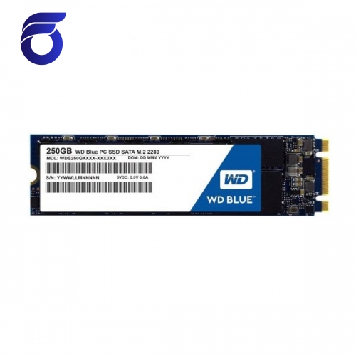 اس اس دی اینترنال وسترن دیجیتال ظرفیت 250GBمدل 250WD BLUE M.2