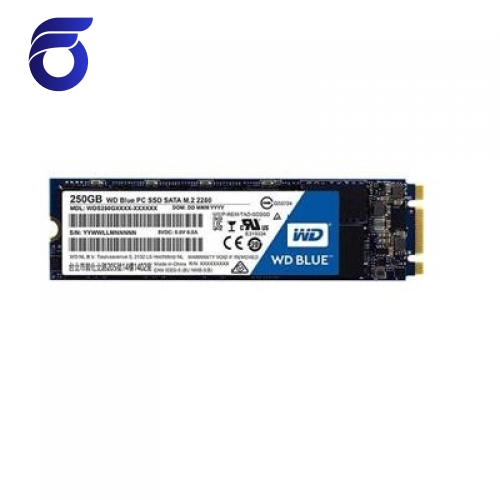 حافظه SSD اینترنال وسترن دیجیتال مدل BLUE WDS500G1B0A ظرفیت 500 گیگابایت